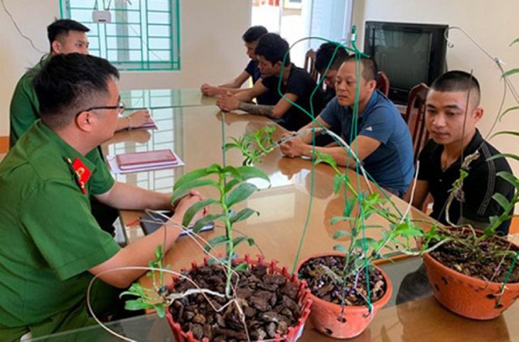 Giao dịch lan đột biến, chiêu trò thổi giá lộ liễu 